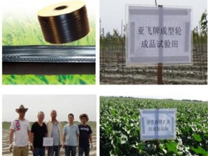亞飛牌滴成型輪生產(chǎn)的滴管帶試驗田